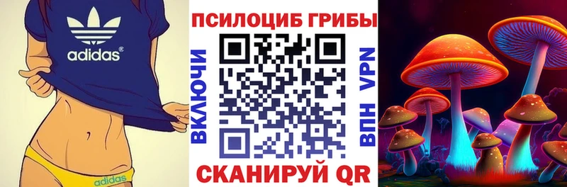 Галлюциногенные грибы MAGIC MUSHROOMS  blacksprut рабочий сайт  Лобня 